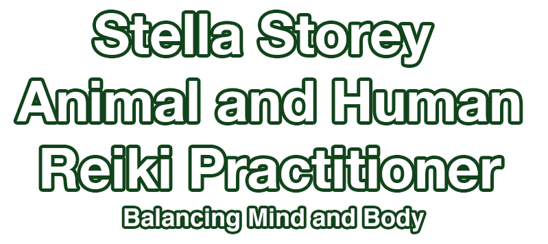 Stella Storey Animal and Human Reiki Practitioner